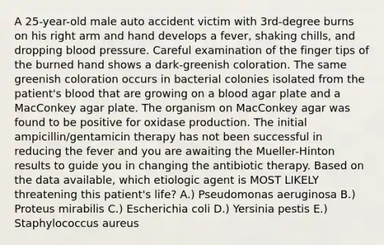 A 25-year-old male auto accident victim with 3rd-degree burns on his right arm and hand develops a fever, shaking chills, and dropping blood pressure. Careful examination of the finger tips of the burned hand shows a dark-greenish coloration. The same greenish coloration occurs in bacterial colonies isolated from the patient's blood that are growing on a blood agar plate and a MacConkey agar plate. The organism on MacConkey agar was found to be positive for oxidase production. The initial ampicillin/gentamicin therapy has not been successful in reducing the fever and you are awaiting the Mueller-Hinton results to guide you in changing the antibiotic therapy. Based on the data available, which etiologic agent is MOST LIKELY threatening this patient's life? A.) Pseudomonas aeruginosa B.) Proteus mirabilis C.) Escherichia coli D.) Yersinia pestis E.) Staphylococcus aureus