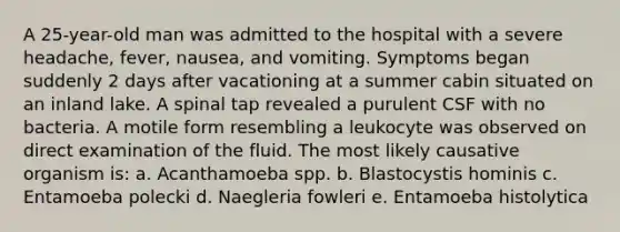 A 25-year-old man was admitted to the hospital with a severe headache, fever, nausea, and vomiting. Symptoms began suddenly 2 days after vacationing at a summer cabin situated on an inland lake. A spinal tap revealed a purulent CSF with no bacteria. A motile form resembling a leukocyte was observed on direct examination of the fluid. The most likely causative organism is: a. Acanthamoeba spp. b. Blastocystis hominis c. Entamoeba polecki d. Naegleria fowleri e. Entamoeba histolytica