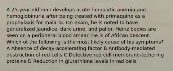 A 25-year-old man develops acute hemolytic anemia and hemoglobinuria after being treated with primaquine as a prophylaxis for malaria. On exam, he is noted to have generalized jaundice, dark urine, and pallor. Heinz bodies are seen on a peripheral blood smear. He is of African descent. Which of the following is the most likely cause of his symptoms? A Absence of decay-accelerating factor B Antibody-mediated destruction of red cells C Defective red cell membrane-tethering proteins D Reduction in glutathione levels in red cells