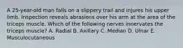 A 25-year-old man falls on a slippery trail and injures his upper limb. Inspection reveals abrasions over his arm at the area of the triceps muscle. Which of the following nerves innervates the triceps muscle? A. Radial B. Axillary C. Median D. Ulnar E. Musculocutaneous