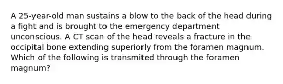 A 25-year-old man sustains a blow to the back of the head during a fight and is brought to the emergency department unconscious. A CT scan of the head reveals a fracture in the occipital bone extending superiorly from the foramen magnum. Which of the following is transmited through the foramen magnum?