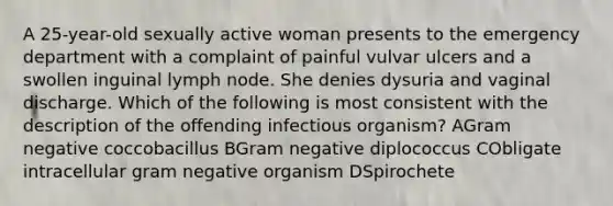 A 25-year-old sexually active woman presents to the emergency department with a complaint of painful vulvar ulcers and a swollen inguinal lymph node. She denies dysuria and vaginal discharge. Which of the following is most consistent with the description of the offending infectious organism? AGram negative coccobacillus BGram negative diplococcus CObligate intracellular gram negative organism DSpirochete