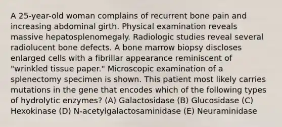 A 25-year-old woman complains of recurrent bone pain and increasing abdominal girth. Physical examination reveals massive hepatosplenomegaly. Radiologic studies reveal several radiolucent bone defects. A bone marrow biopsy discloses enlarged cells with a fibrillar appearance reminiscent of "wrinkled tissue paper." Microscopic examination of a splenectomy specimen is shown. This patient most likely carries mutations in the gene that encodes which of the following types of hydrolytic enzymes? (A) Galactosidase (B) Glucosidase (C) Hexokinase (D) N-acetylgalactosaminidase (E) Neuraminidase