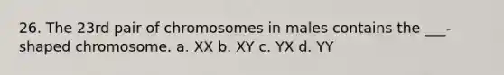 26. The 23rd pair of chromosomes in males contains the ___- shaped chromosome. a. XX b. XY c. YX d. YY