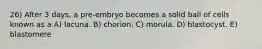 26) After 3 days, a pre-embryo becomes a solid ball of cells known as a A) lacuna. B) chorion. C) morula. D) blastocyst. E) blastomere