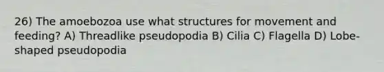 26) The amoebozoa use what structures for movement and feeding? A) Threadlike pseudopodia B) Cilia C) Flagella D) Lobe-shaped pseudopodia