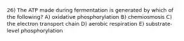 26) The ATP made during fermentation is generated by which of the following? A) oxidative phosphorylation B) chemiosmosis C) the electron transport chain D) aerobic respiration E) substrate-level phosphorylation