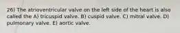 26) The atrioventricular valve on the left side of the heart is also called the A) tricuspid valve. B) cuspid valve. C) mitral valve. D) pulmonary valve. E) aortic valve.