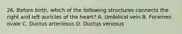 26. Before birth, which of the following structures connects the right and left auricles of the heart? A. Umbilical vein B. Foramen ovale C. Ductus arteriosus D. Ductus venosus