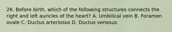 26. Before birth, which of the following structures connects the right and left auricles of the heart? A. Umbilical vein B. Foramen ovale C. Ductus arteriosus D. Ductus venosus