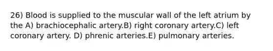 26) Blood is supplied to the muscular wall of the left atrium by the A) brachiocephalic artery.B) right coronary artery.C) left coronary artery. D) phrenic arteries.E) pulmonary arteries.