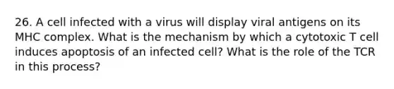 26. A cell infected with a virus will display viral antigens on its MHC complex. What is the mechanism by which a cytotoxic T cell induces apoptosis of an infected cell? What is the role of the TCR in this process?