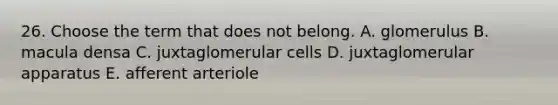 26. Choose the term that does not belong. A. glomerulus B. macula densa C. juxtaglomerular cells D. juxtaglomerular apparatus E. afferent arteriole