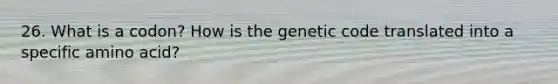 26. What is a codon? How is the genetic code translated into a specific amino acid?