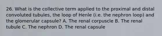 26. What is the collective term applied to the proximal and distal convoluted tubules, the loop of Henle (i.e. the nephron loop) and the glomerular capsule? A. The renal corpuscle B. The renal tubule C. The nephron D. The renal capsule