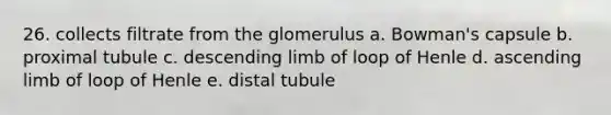 26. ​collects filtrate from the glomerulus a. ​Bowman's capsule b. ​proximal tubule c. ​descending limb of loop of Henle d. ​ascending limb of loop of Henle e. ​distal tubule