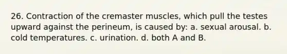 26. Contraction of the cremaster muscles, which pull the testes upward against the perineum, is caused by: a. sexual arousal. b. cold temperatures. c. urination. d. both A and B.