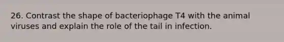 26. Contrast the shape of bacteriophage T4 with the animal viruses and explain the role of the tail in infection.