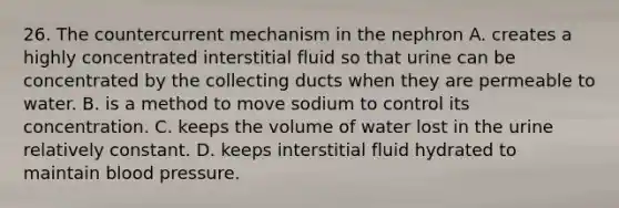 26. The countercurrent mechanism in the nephron A. creates a highly concentrated interstitial fluid so that urine can be concentrated by the collecting ducts when they are permeable to water. B. is a method to move sodium to control its concentration. C. keeps the volume of water lost in the urine relatively constant. D. keeps interstitial fluid hydrated to maintain blood pressure.