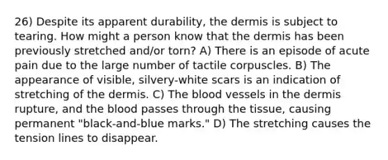 26) Despite its apparent durability, the dermis is subject to tearing. How might a person know that the dermis has been previously stretched and/or torn? A) There is an episode of acute pain due to the large number of tactile corpuscles. B) The appearance of visible, silvery-white scars is an indication of stretching of the dermis. C) The blood vessels in the dermis rupture, and the blood passes through the tissue, causing permanent "black-and-blue marks." D) The stretching causes the tension lines to disappear.