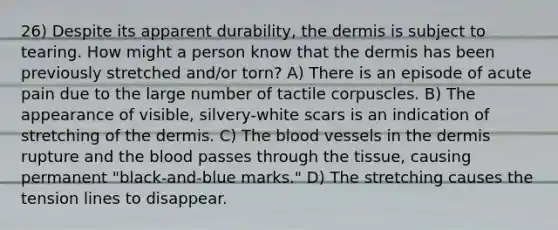 26) Despite its apparent durability, <a href='https://www.questionai.com/knowledge/kEsXbG6AwS-the-dermis' class='anchor-knowledge'>the dermis</a> is subject to tearing. How might a person know that the dermis has been previously stretched and/or torn? A) There is an episode of acute pain due to the large number of tactile corpuscles. B) The appearance of visible, silvery-white scars is an indication of stretching of the dermis. C) <a href='https://www.questionai.com/knowledge/k7oXMfj7lk-the-blood' class='anchor-knowledge'>the blood</a> vessels in the dermis rupture and the blood passes through the tissue, causing permanent "black-and-blue marks." D) The stretching causes the tension lines to disappear.