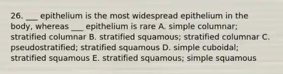 26. ___ epithelium is the most widespread epithelium in the body, whereas ___ epithelium is rare A. simple columnar; stratified columnar B. stratified squamous; stratified columnar C. pseudostratified; stratified squamous D. simple cuboidal; stratified squamous E. stratified squamous; simple squamous