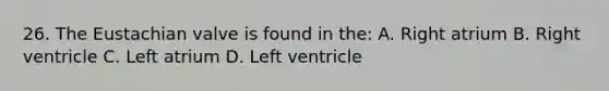 26. The Eustachian valve is found in the: A. Right atrium B. Right ventricle C. Left atrium D. Left ventricle