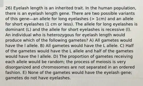 26) Eyelash length is an inherited trait. In the human population, there is an eyelash length gene. There are two possible variants of this gene—an allele for long eyelashes (> 1cm) and an allele for short eyelashes (1 cm or less). The allele for long eyelashes is dominant (L) and the allele for short eyelashes is recessive (l). An individual who is heterozygous for eyelash length would produce which of the following gametes? A) All gametes would have the l allele. B) All gametes would have the L allele. C) Half of the gametes would have the L allele and half of the gametes would have the l allele. D) The proportion of gametes receiving each allele would be random; the process of meiosis is very disorganized and chromosomes are not separated in an ordered fashion. E) None of the gametes would have the eyelash gene; gametes do not have eyelashes.