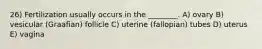 26) Fertilization usually occurs in the ________. A) ovary B) vesicular (Graafian) follicle C) uterine (fallopian) tubes D) uterus E) vagina