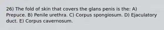 26) The fold of skin that covers the glans penis is the: A) Prepuce. B) Penile urethra. C) Corpus spongiosum. D) Ejaculatory duct. E) Corpus cavernosum.