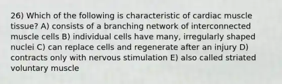 26) Which of the following is characteristic of cardiac muscle tissue? A) consists of a branching network of interconnected muscle cells B) individual cells have many, irregularly shaped nuclei C) can replace cells and regenerate after an injury D) contracts only with nervous stimulation E) also called striated voluntary muscle