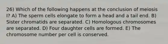 26) Which of the following happens at the conclusion of meiosis I? A) The sperm cells elongate to form a head and a tail end. B) Sister chromatids are separated. C) Homologous chromosomes are separated. D) Four daughter cells are formed. E) The chromosome number per cell is conserved.