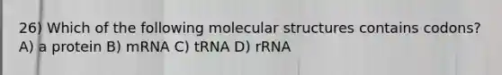 26) Which of the following molecular structures contains codons? A) a protein B) mRNA C) tRNA D) rRNA