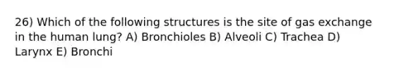 26) Which of the following structures is the site of gas exchange in the human lung? A) Bronchioles B) Alveoli C) Trachea D) Larynx E) Bronchi