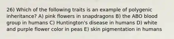 26) Which of the following traits is an example of polygenic inheritance? A) pink flowers in snapdragons B) the ABO blood group in humans C) Huntington's disease in humans D) white and purple flower color in peas E) skin pigmentation in humans