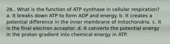 26.. What is the function of ATP synthase in cellular respiration? a. It breaks down ATP to form ADP and energy. b. It creates a potential difference in the inner membrane of mitochondria. c. It is the final electron acceptor. d. It converts the potential energy in the proton gradient into chemical energy in ATP.