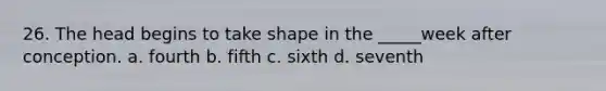 26. The head begins to take shape in the _____week after conception. a. fourth b. fifth c. sixth d. seventh