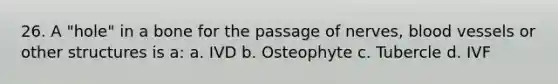 26. A "hole" in a bone for the passage of nerves, <a href='https://www.questionai.com/knowledge/kZJ3mNKN7P-blood-vessels' class='anchor-knowledge'>blood vessels</a> or other structures is a: a. IVD b. Osteophyte c. Tubercle d. IVF