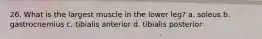 26. What is the largest muscle in the lower leg? a. soleus b. gastrocnemius c. tibialis anterior d. tibialis posterior
