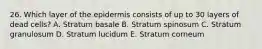 26. Which layer of the epidermis consists of up to 30 layers of dead cells? A. Stratum basale B. Stratum spinosum C. Stratum granulosum D. Stratum lucidum E. Stratum corneum