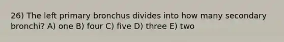 26) The left primary bronchus divides into how many secondary bronchi? A) one B) four C) five D) three E) two