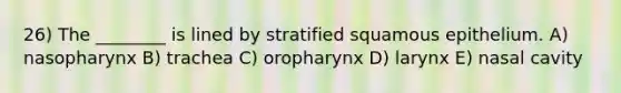 26) The ________ is lined by stratified squamous epithelium. A) nasopharynx B) trachea C) oropharynx D) larynx E) nasal cavity