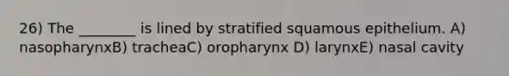 26) The ________ is lined by stratified squamous epithelium. A) nasopharynxB) tracheaC) oropharynx D) larynxE) nasal cavity