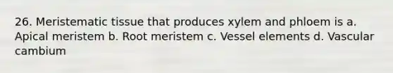 26. Meristematic tissue that produces xylem and phloem is a. Apical meristem b. Root meristem c. Vessel elements d. Vascular cambium