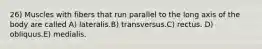 26) Muscles with fibers that run parallel to the long axis of the body are called A) lateralis.B) transversus.C) rectus. D) obliquus.E) medialis.