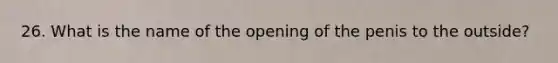 26. What is the name of the opening of the penis to the outside?