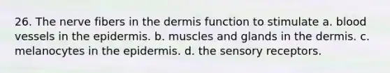 26. The nerve fibers in <a href='https://www.questionai.com/knowledge/kEsXbG6AwS-the-dermis' class='anchor-knowledge'>the dermis</a> function to stimulate a. blood vessels in <a href='https://www.questionai.com/knowledge/kBFgQMpq6s-the-epidermis' class='anchor-knowledge'>the epidermis</a>. b. muscles and glands in the dermis. c. melanocytes in the epidermis. d. the <a href='https://www.questionai.com/knowledge/kZxhe8RZQ3-sensory-receptors' class='anchor-knowledge'>sensory receptors</a>.