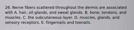 26. Nerve fibers scattered throughout the dermis are associated with A. hair, oil glands, and sweat glands. B. bone, tendons, and muscles. C. the subcutaneous layer. D. muscles, glands, and sensory receptors. E. fingernails and toenails.