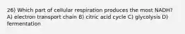 26) Which part of cellular respiration produces the most NADH? A) electron transport chain B) citric acid cycle C) glycolysis D) fermentation