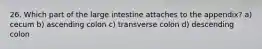 26. Which part of the large intestine attaches to the appendix? a) cecum b) ascending colon c) transverse colon d) descending colon